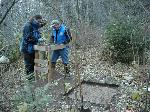 Thompson's Survey
