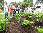 Participants learn about the Three Sisters Garden.