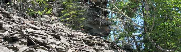 Rove Formation graywacke