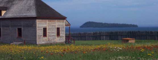Great Hall with yellow and orange Hawkweed