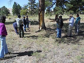 Hopi Tribal Members stand with Culturally Modified Ponderosa Pine