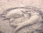 Sand Sculpturing