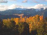 Gold Cottonwoods, Dunes, and Cleveland Peak