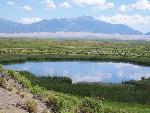 South Twin Lake, Elk, and Birds