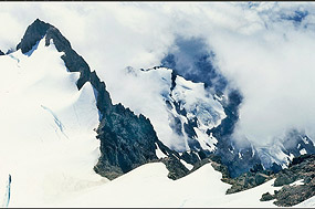 Robert Dash Photo