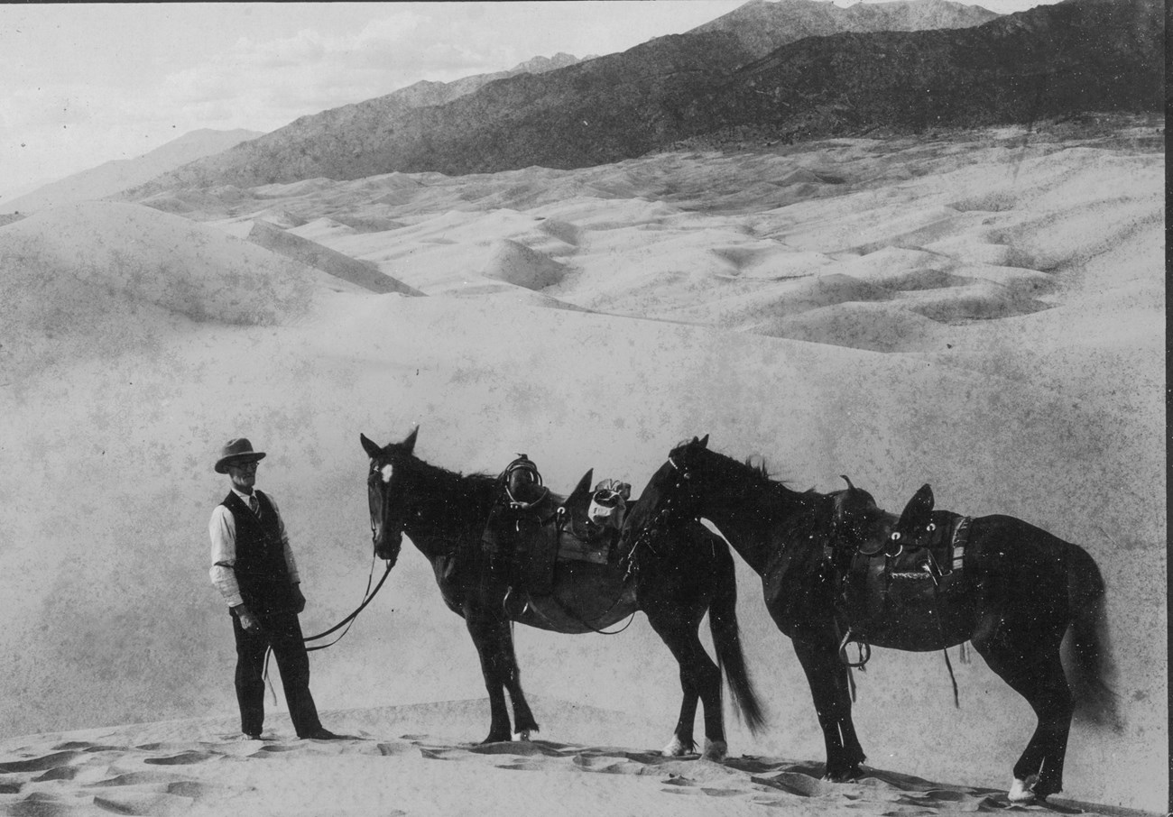 Black and White photo of Frank Wellington with Two Horses on the Dunes