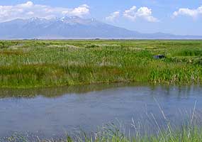 Alamosa NWR Alamosa NWR
