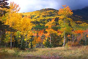 Autumn at Great Sand Dunes