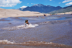 Girl in Medano Creek for 2013 Season