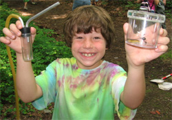 happy insect exploration