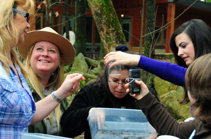 Teachers examine organisms found in leaf litter during a teacher workshop