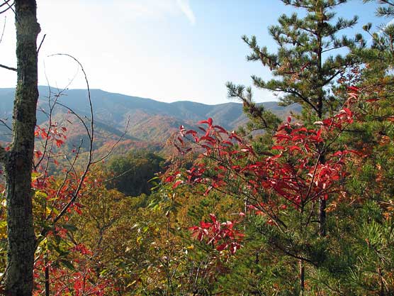 The view from Bote Mountain Trail on Oct 18.