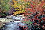 Cataloochee Creek