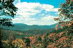 Fall on Heintooga Ridge Road