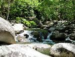 River at Chimneys Picnic Area