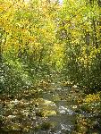 From Kephart Prong Trail