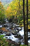 cave-fall stream