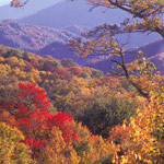 Fall colors can be enjoyed during October and early November in the park.