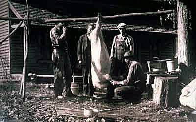Historical photo of a mountain family butchering a hog.