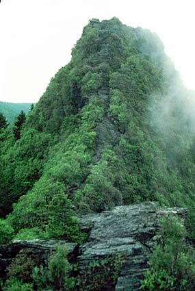 View of Chimney Tops.