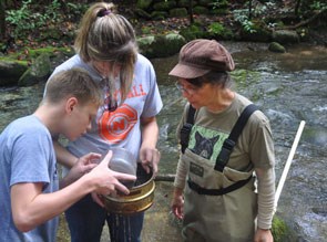 Dr Andrea Radwell and students carefully pour water samples to collect water mites.