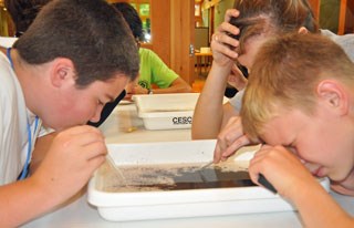 Students use magnifying glasses to spot the tiny water mites.