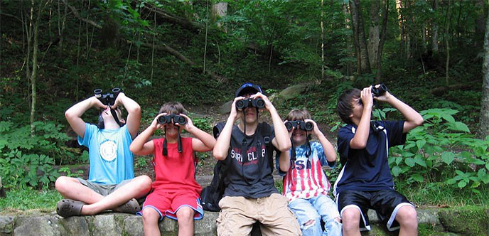Five young boys sitting on a stone wall, each looking through a pair of binoculars.