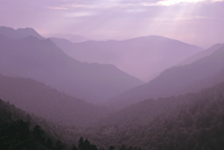 Nature and Science Nature and Science