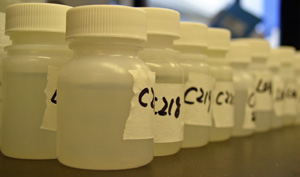 Water samples ready for testing.