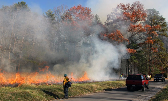 Fire fighters observe a prescribed fire as it burns in a field in Cades Cove.