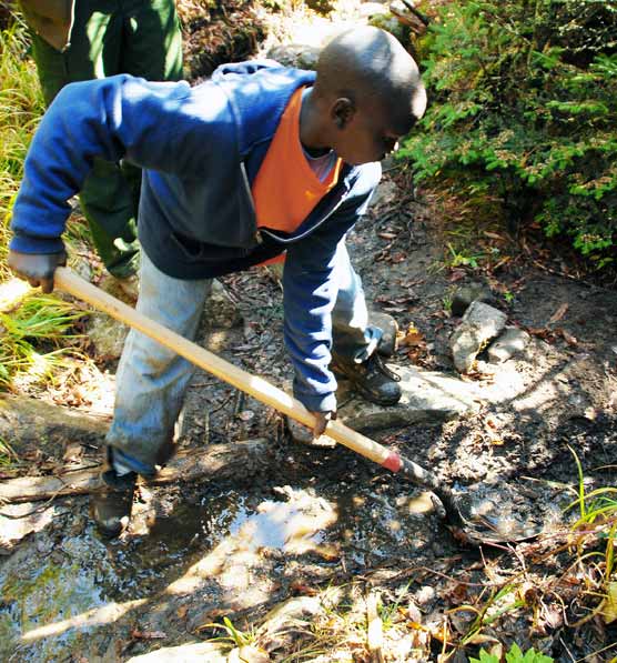 A young volunteer helps with trail work.