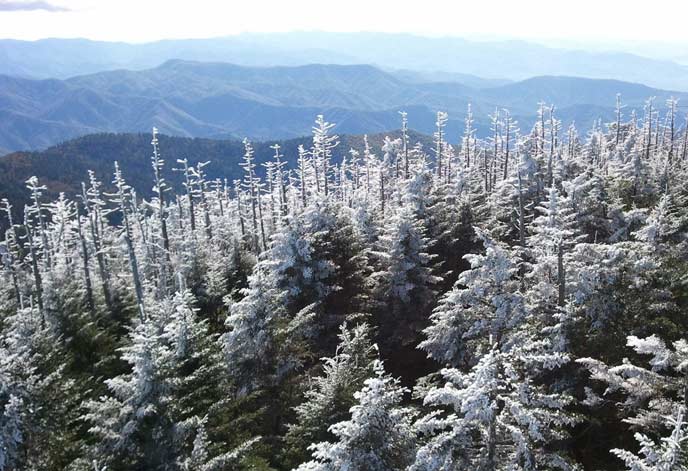 The view of distant mountains from Clingmans Dome Observation Tower