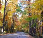 fall-road