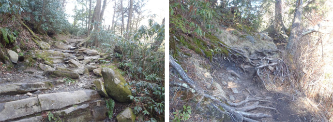 Exposed bedrock and roots before trail reconstruction