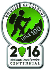 Hike 100 Pin