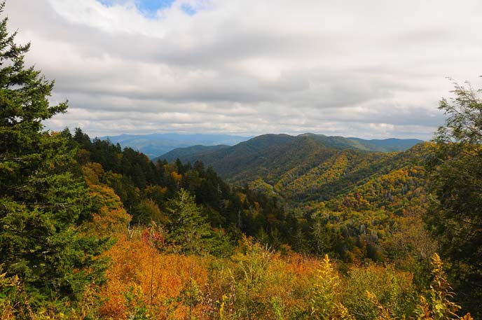 Fall colors and distant mountains as viewed from Newfound Gap.