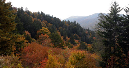 The view from the Newfound Gap parking lot on Oct 12, 2010.