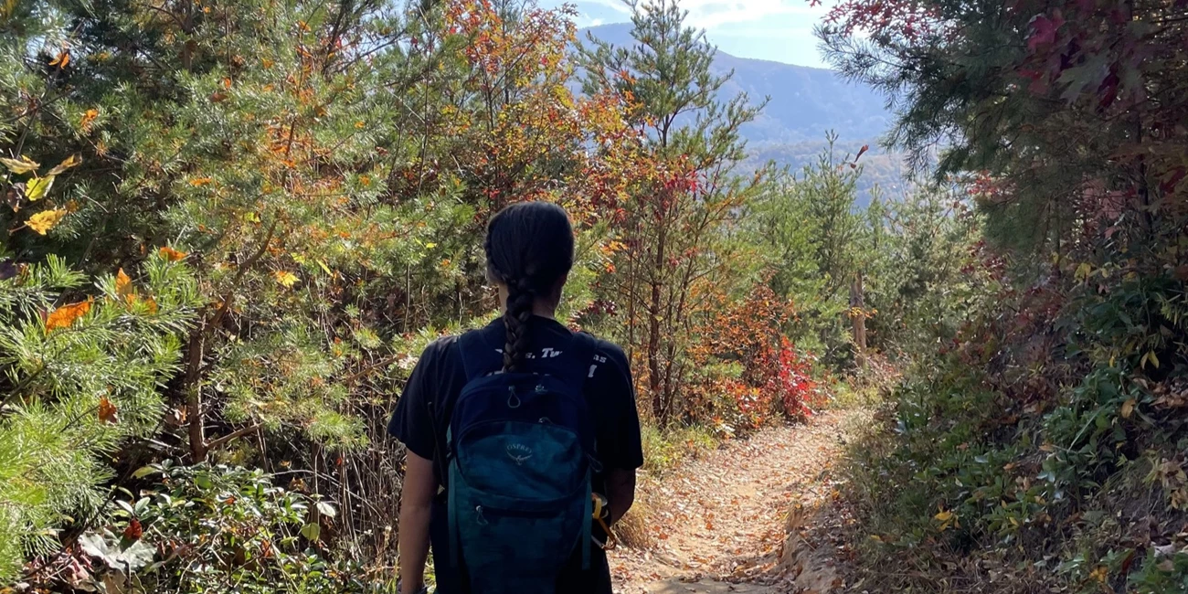 A hiker in the fall on a trail.
