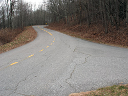 Cracks developing in Heintooga Ridge Road