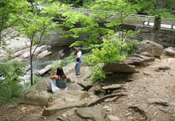 The overlook at the Sinks waterfall.