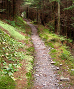 Adopted Trail in the Park