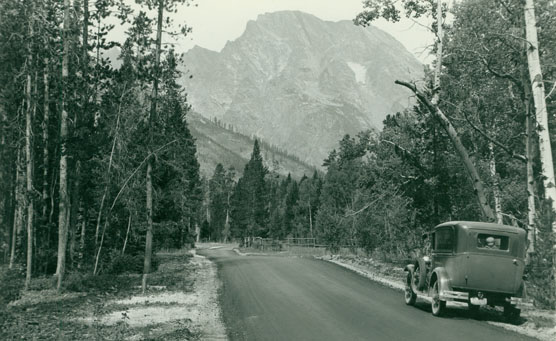 Early Tourist