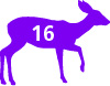 Mule Deer Graphic