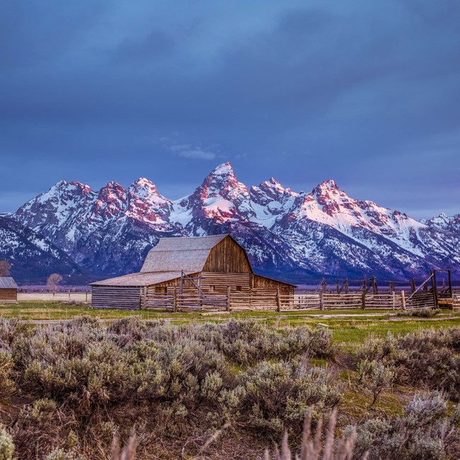 A spring sunrise at Mormon Row with first light on the Teton Range and a wooden barn with a fence surrounding in the sagebrush