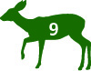 Mule Deer Graphic