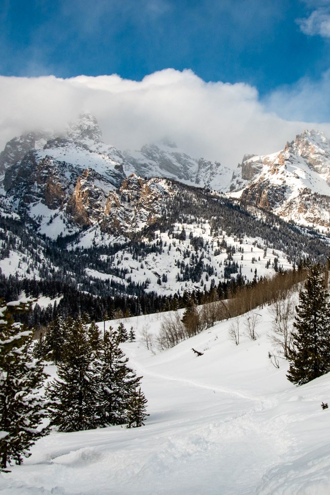 A snow covered trail and the Teton Range.
