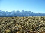 Teton Range with Sagebrush
