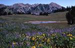 Granite Canyon South Fork