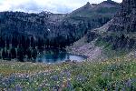 Marion Lake with Wildflowers