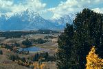 Teton Fall